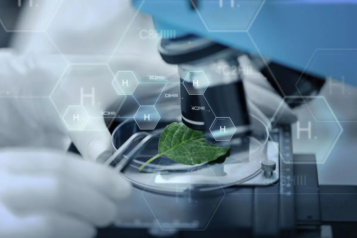 Zdjęcie Co można robić po studiach biologicznych? Odkryj ciekawe ścieżki kariery