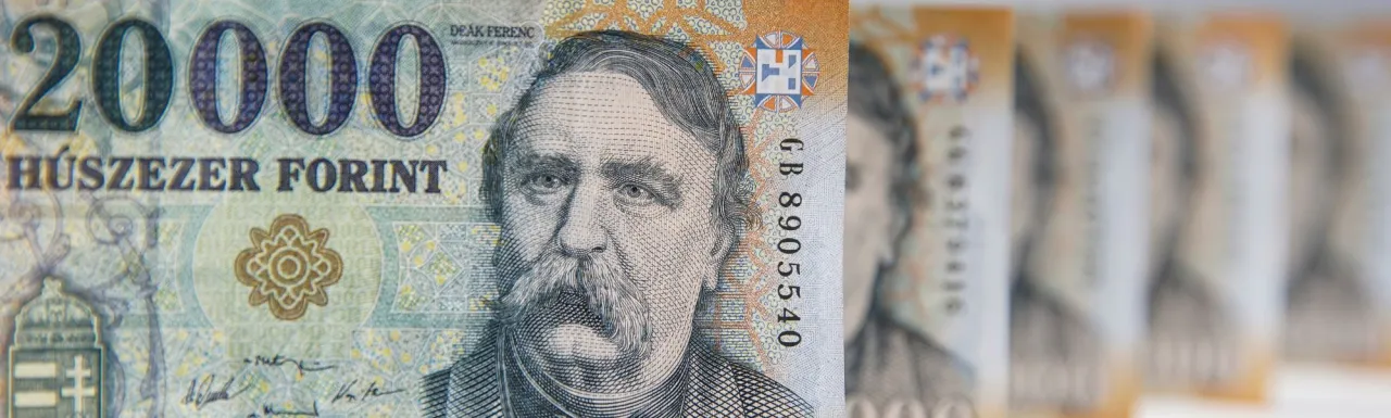 Zdjęcie Przelicznik Forinta HUF: Kurs i wskazówki dotyczące wymiany walut