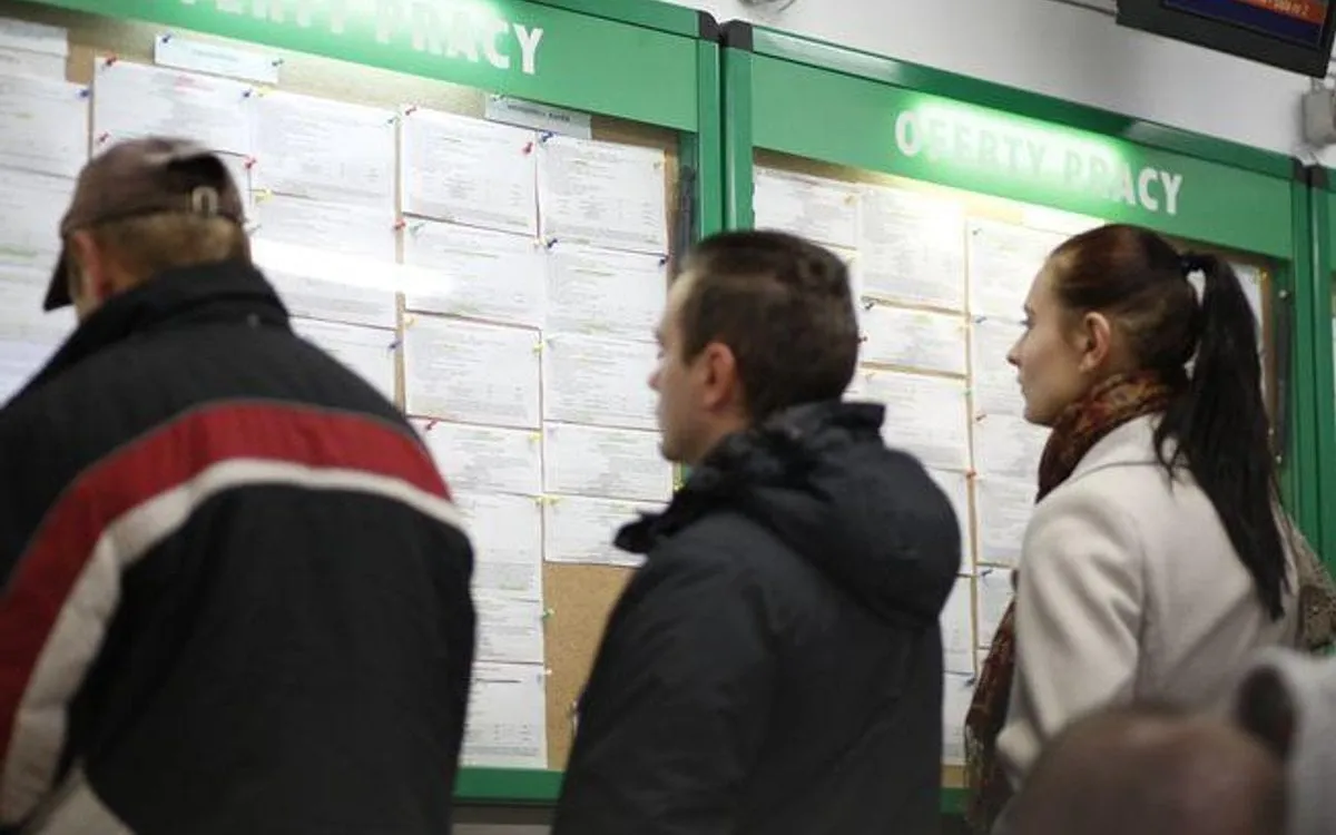 Zdjęcie Co jeśli pracodawca nie zatrudni po stażu? Skutki dla internów