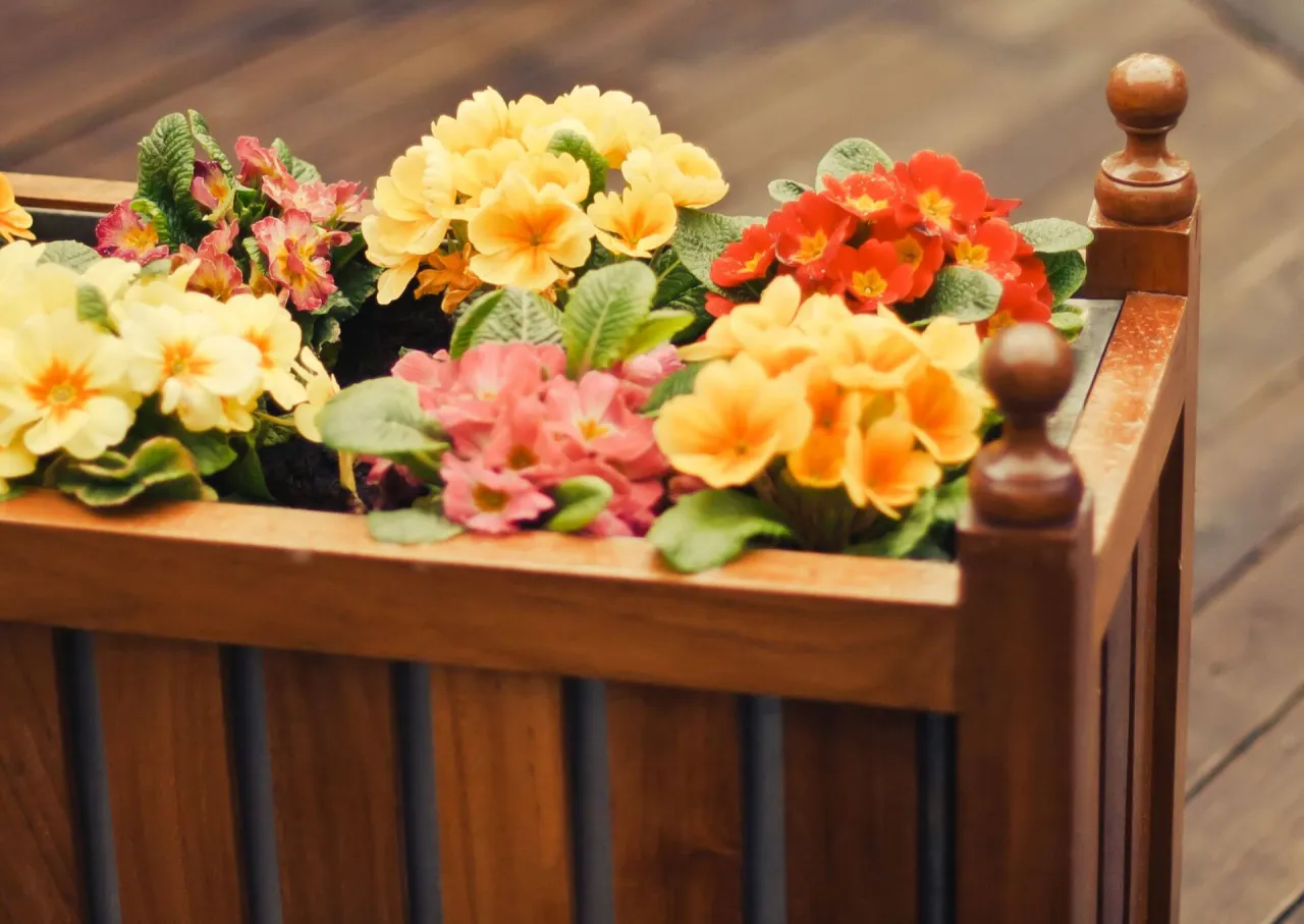 Zdjęcie Jak zrobić kwietnik z drewna do ogrodu - proste kroki i porady