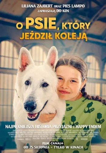 Zdjęcie Jak wejść do kina na film od 15 lat bez zbędnych problemów?