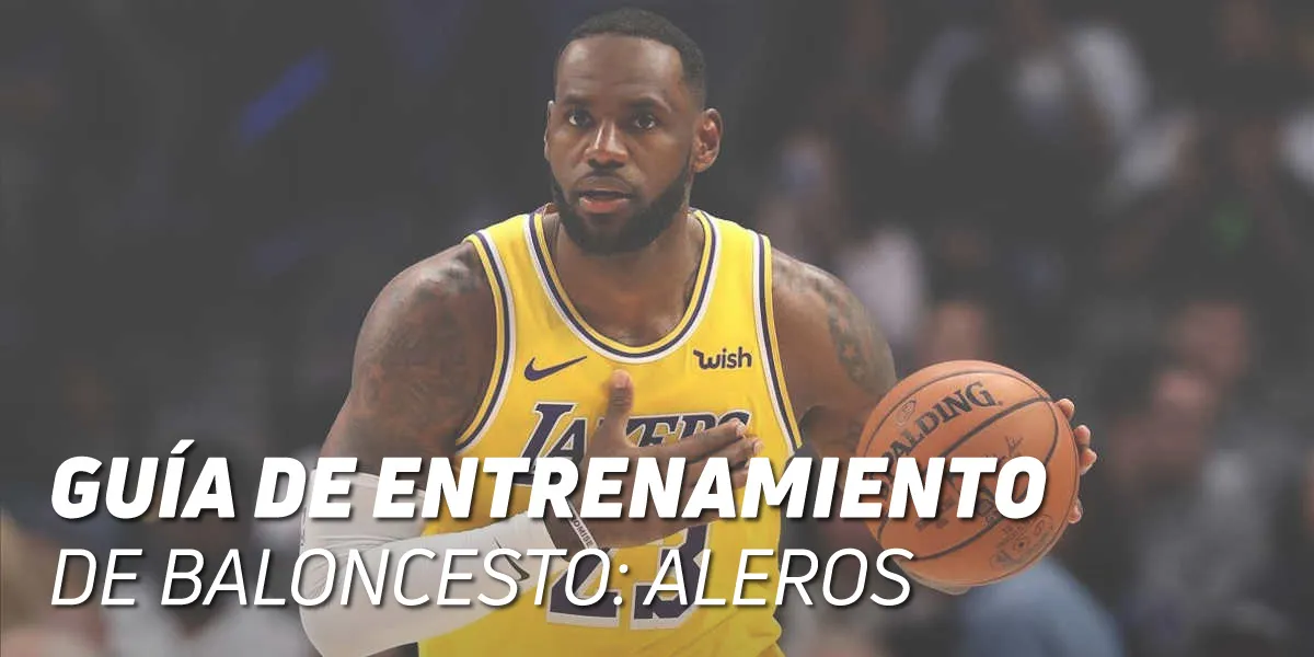 Zdjęcie Todo lo que necesitas saber sobre el alero en baloncesto