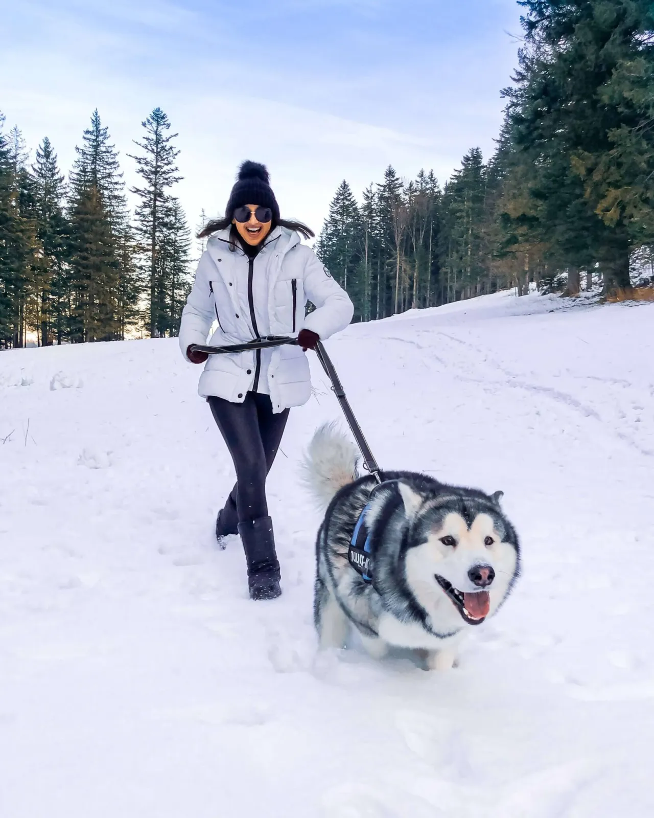 Zdjęcie Gdzie z psem w góry Zakopane - najlepsze miejsca na spacery z psem