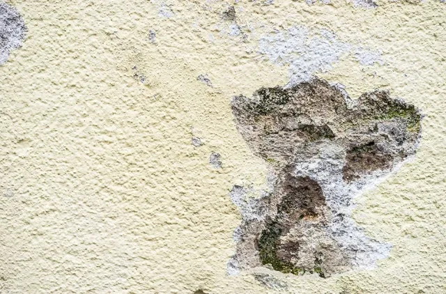 Zdjęcie Jak samodzielnie naprawić dziurę w elewacji i uniknąć dalszych uszkodzeń