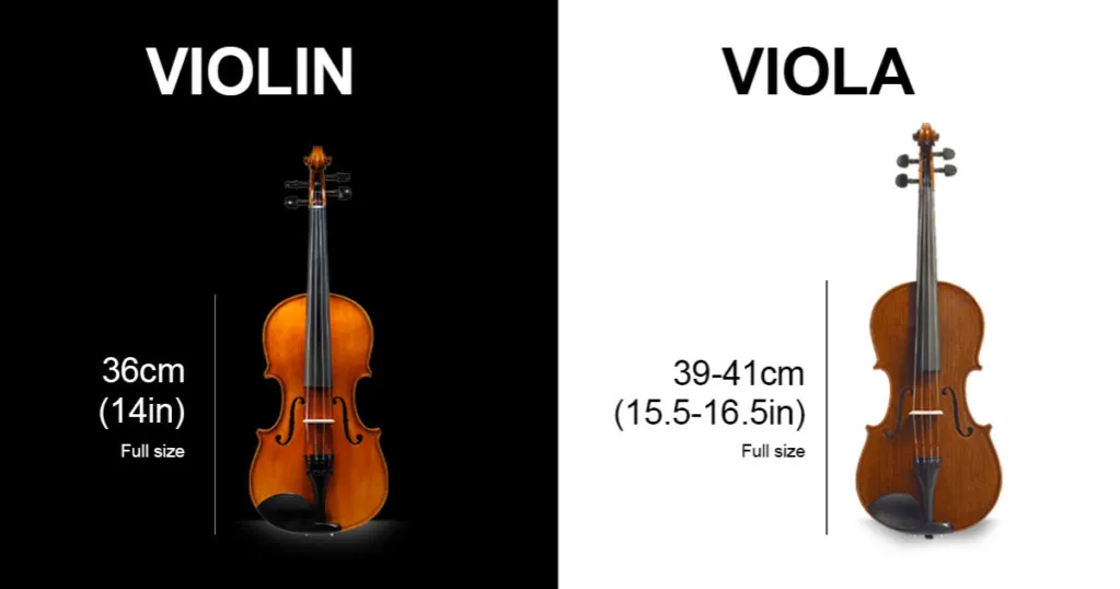 Zdjęcie Czym się różni altówka od skrzypiec? Kluczowe różnice, które musisz znać