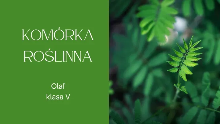 Zdjęcie Jak wygląda komórka roślinna? Odkryj jej złożoną budowę i funkcje