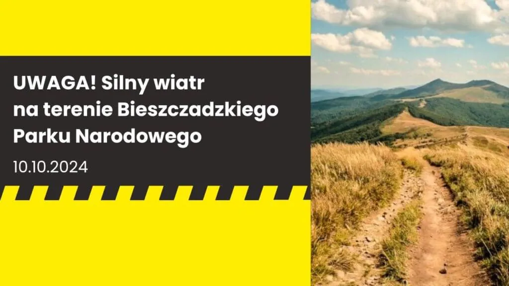 Zdjęcie Najlepsze atrakcje w Stężnicy, które musisz zobaczyć tej wiosny