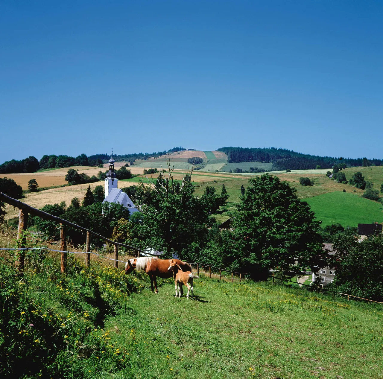 Zdjęcie Jeż&oacute;w Sudecki: Atrakcje, kt&oacute;re musisz zobaczyć!