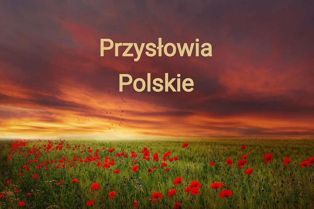 Zdjęcie Fajne powiedzenia: Mądrość ludowa w codziennym życiu Polaków