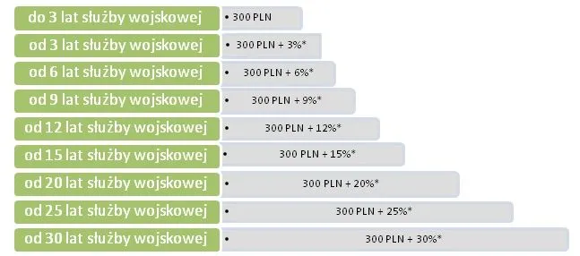 Zdjęcie Ile zarabia wojskowy po studiach? Zaskakujące wynagrodzenia i korzyści