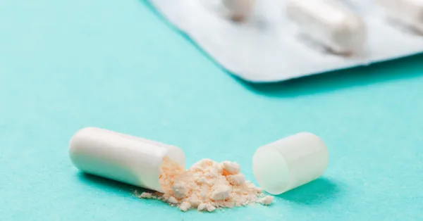 Zdjęcie Czy można podać psu probiotyk dla ludzi? Sprawdź, co może zaszkodzić