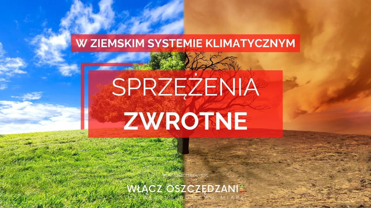 Zdjęcie Sprzężenie zwrotne: kluczowy mechanizm kontroli w systemach - podstawy