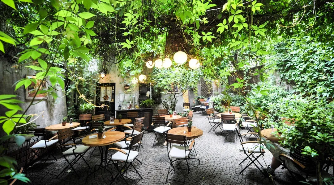 Zdjęcie Restauracje z ogrodem i ogródkami na świeżym powietrzu w Poznaniu