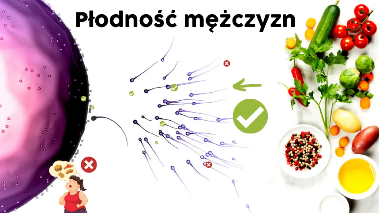 Zdjęcie Czy mężczyzna jest płodny całe życie? Poznaj prawdę o męskiej płodności