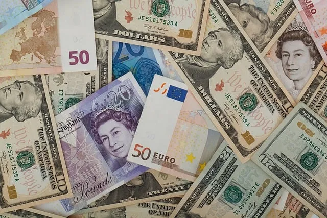 Zdjęcie W co lepiej inwestować dolar czy euro: fakty, o których nie wiedziałeś