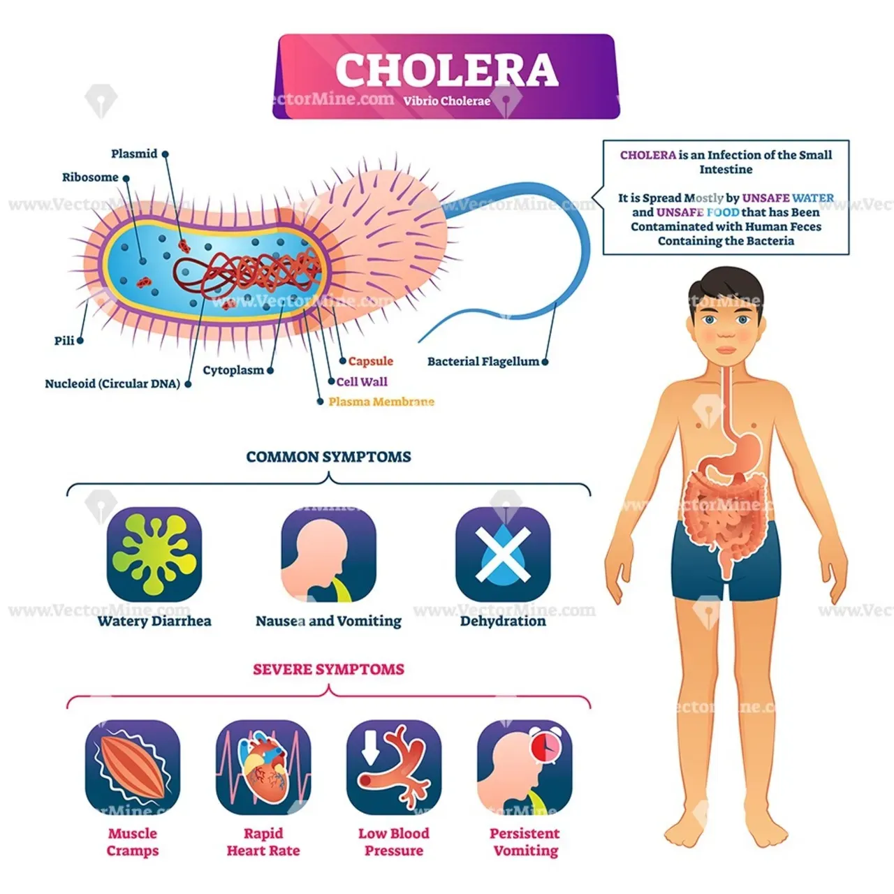 Zdjęcie Czy cholera to grzech? Zaskakujące spojrzenie na moralne aspekty