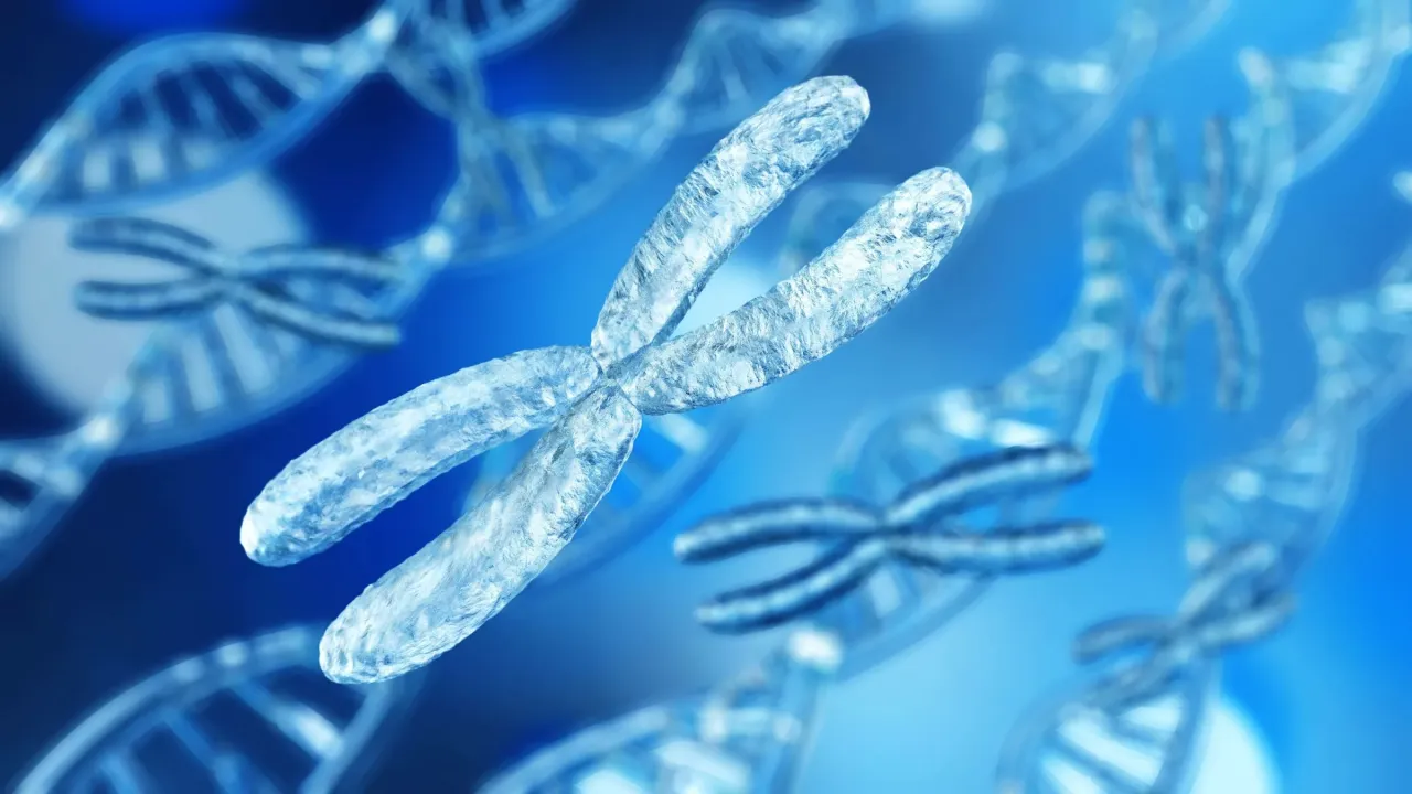 Zdjęcie Zespół Klinefeltera: Jak objawy psychiczne wpływają na życie?