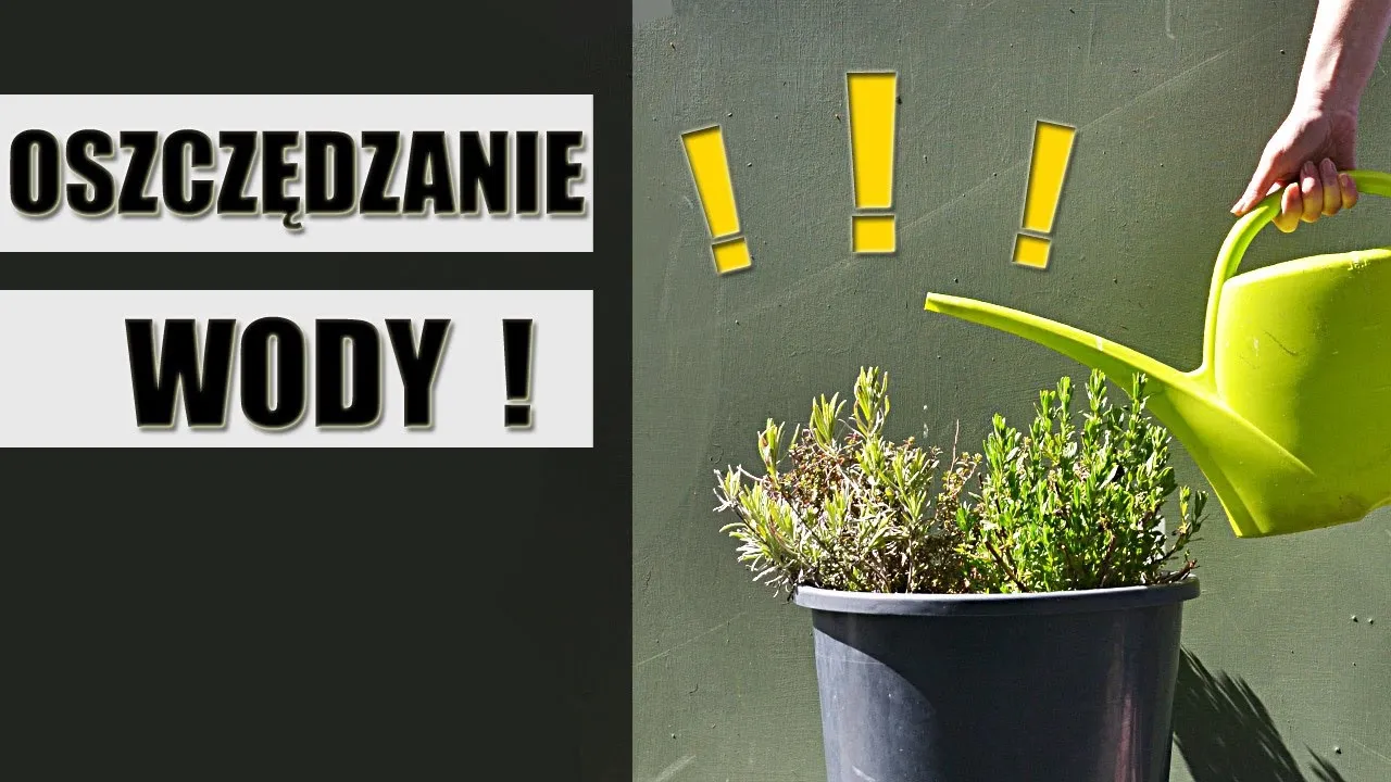 Zdjęcie Oszczędzanie wody - jak to robić skutecznie w domu i ogrodzie?