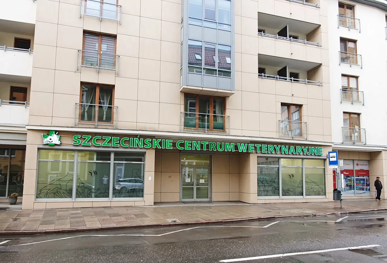 Zdjęcie Czy weterynarz jest otwarty w niedziele? Sprawdź godziny i lokalizacje