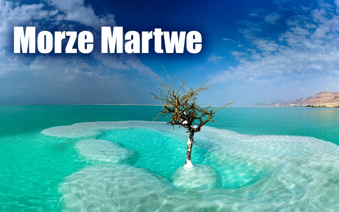 Zdjęcie Co żyje w Morzu Martwym? Zaskakujące organizmy w ekstremalnych warunkach