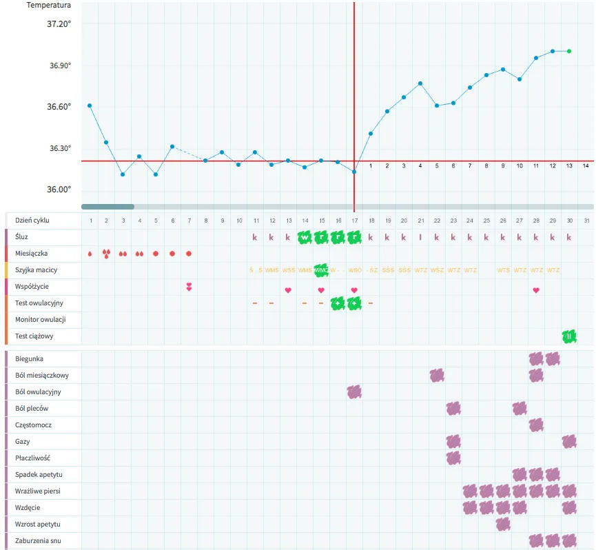 Zdjęcie Kiedy występuje owulacja w cyklu 29 dni? Poznaj swoje dni płodne