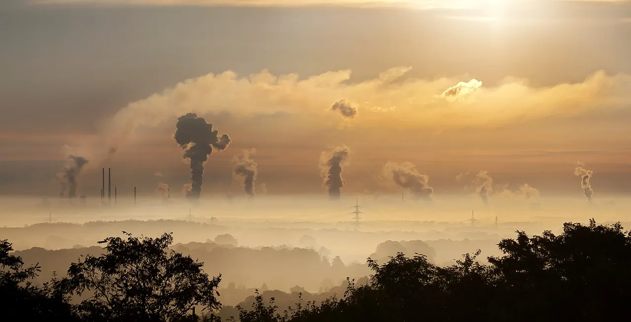Zdjęcie Jak zwalczyć smog: skuteczne sposoby na poprawę jakości powietrza