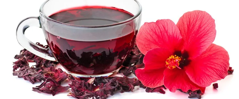 Zdjęcie Czy hibiskus ogrodowy nadaje się na herbatę? Właściwości i przepisy na napar