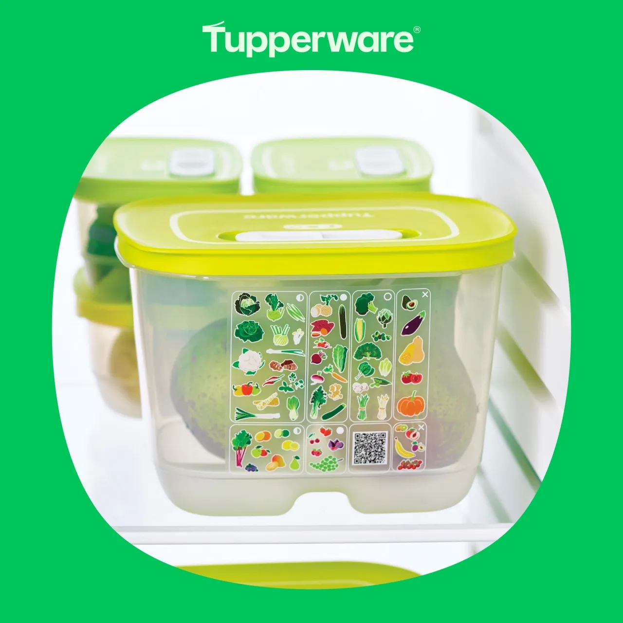 Zdjęcie Co warto kupić z Tupperware? Najlepsze produkty, które zaskoczą