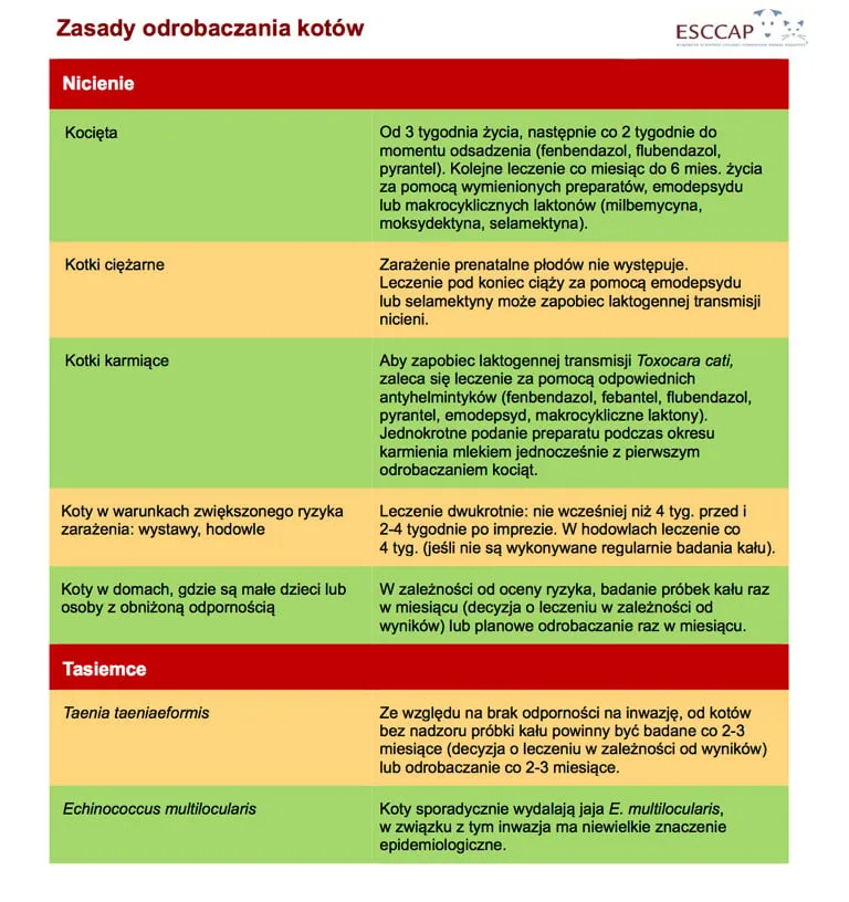Zdjęcie Objawy odrobaczania – co powinieneś wiedzieć o skutkach leczenia