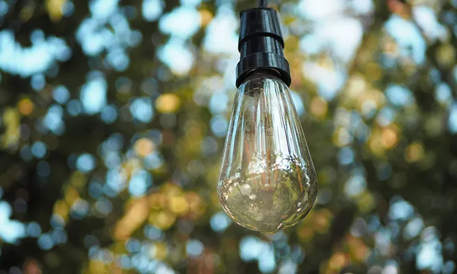 Zdjęcie Najlepsze obiektywy do bokeh: sekrety idealnego rozmycia tła w fotografii