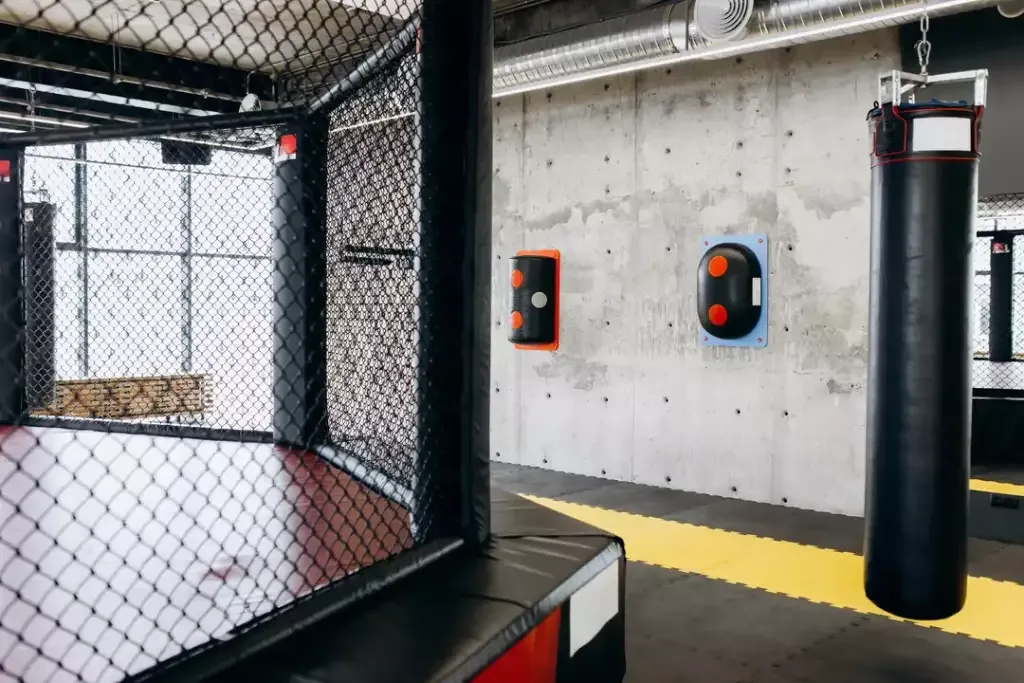 Zdjęcie Rzymska klatka co to? Poznaj jej tajemnice i zastosowanie w MMA