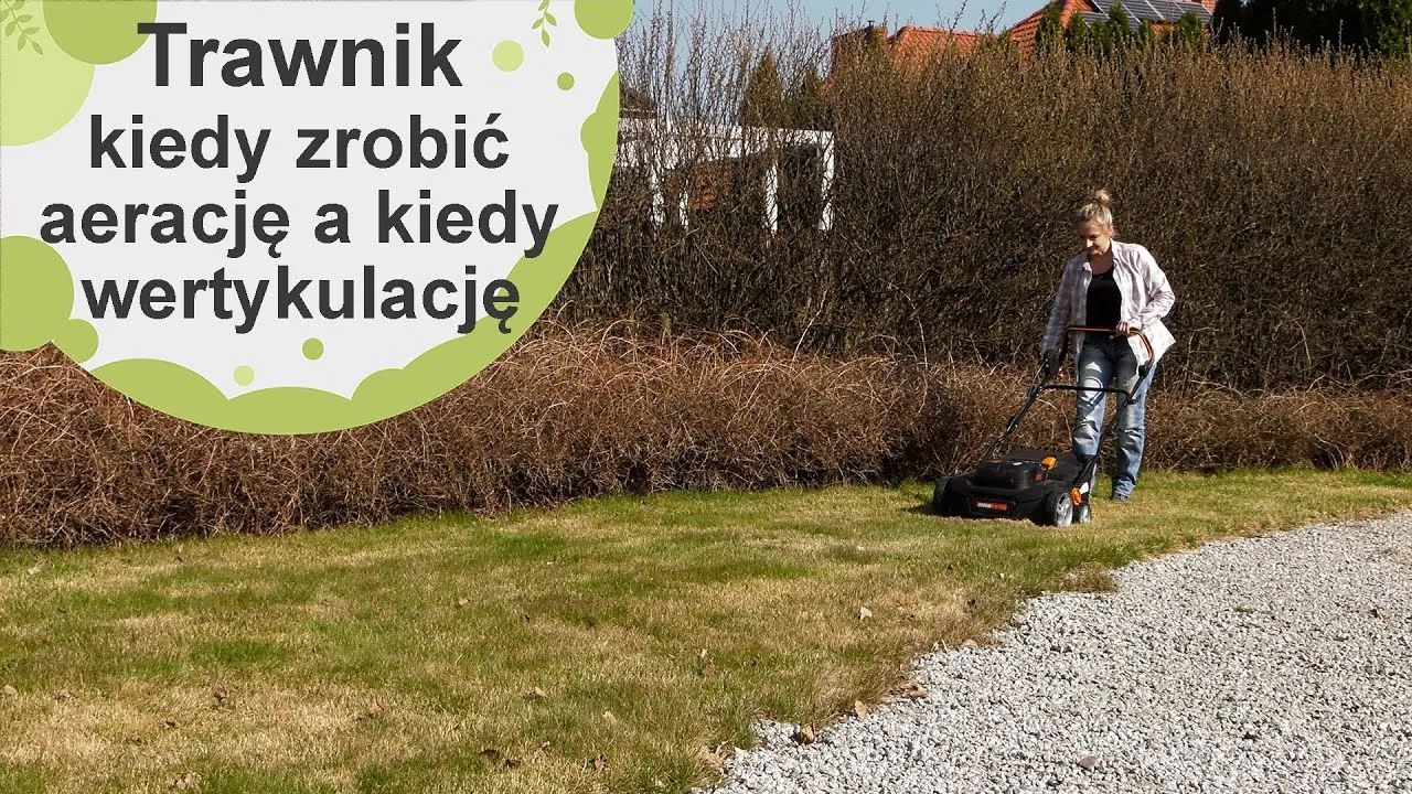 Zdjęcie Wertykulacja i aeracja trawnika do kiedy – uniknij błędów w pielęgnacji