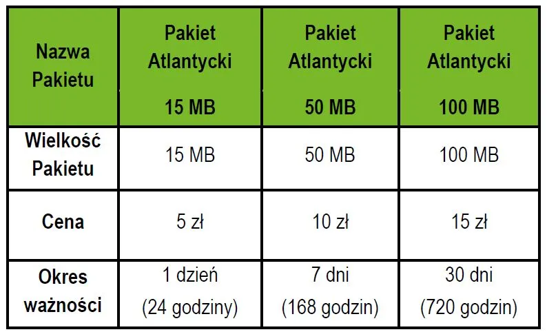 Zdjęcie Ile internetu w roamingu? Sprawdź, jak uniknąć wysokich opłat za granicą