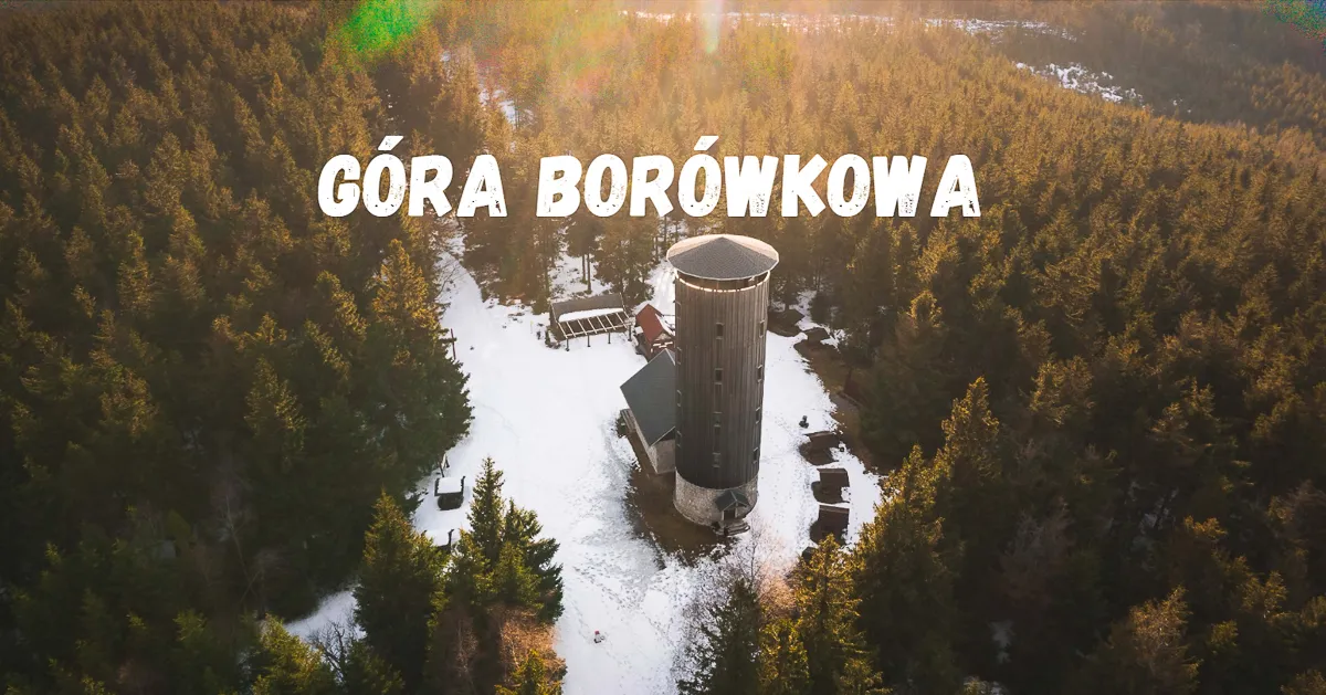 Zdjęcie Jak dojść na Borówkową Górę – sprawdzone trasy i porady dla turystów