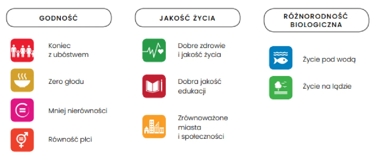Zdjęcie Zrównoważony rozwój definicja ONZ: klucz do przyszłości bez strat