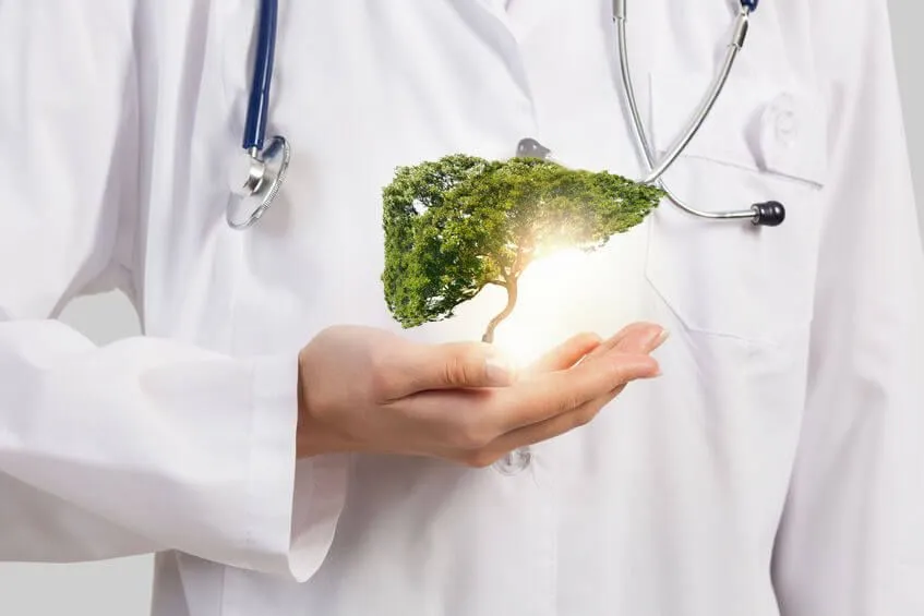 Zdjęcie Jaki lekarz od wątroby pomoże w diagnozie i leczeniu chorób?
