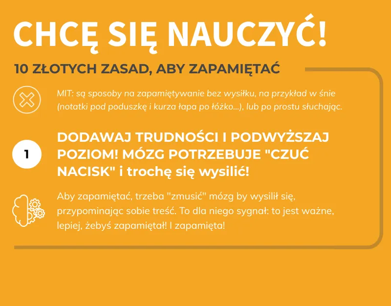 Zdjęcie Skuteczne sposoby jak uczyć się prawa - kompletny poradnik dla początkujących
