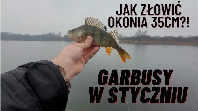Zdjęcie Czy można łowić na spinning w styczniu? Sprawdź przepisy i techniki