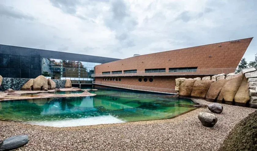 Zdjęcie Afrykarium Wrocław - wyjątkowe oceanarium pełne afrykańskich skarbów