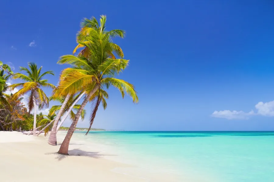 Zdjęcie Vacaciones Punta Cana: Las Mejores Actividades y Alojamientos Imperdibles