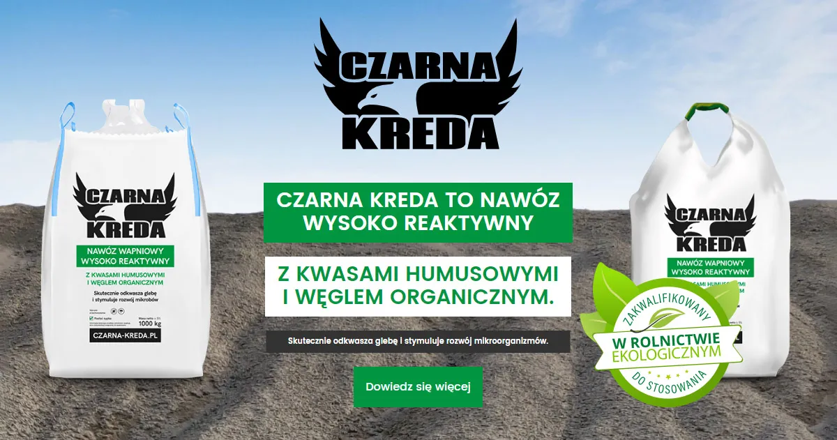 Zdjęcie Kiedy sypać wapno na działkę, aby uniknąć błędów w ogrodzie