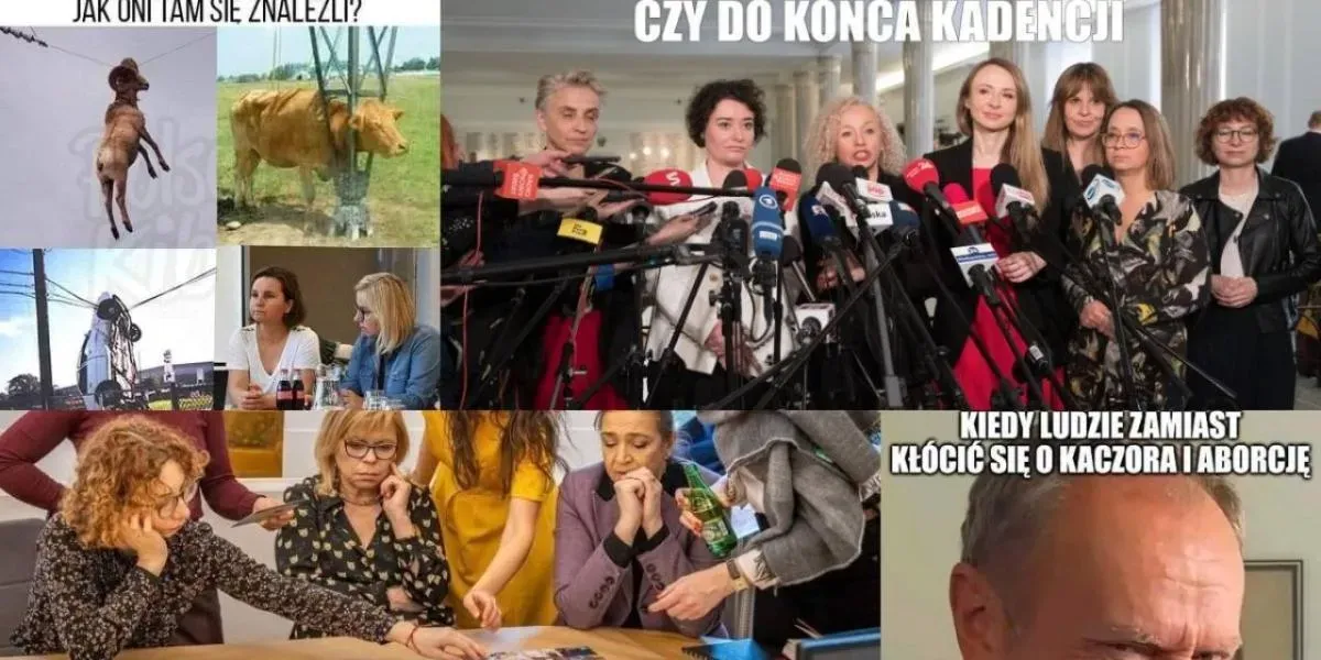 Zdjęcie Najlepsze memy polityczne, które rozśmieszą i zaskoczą każdego