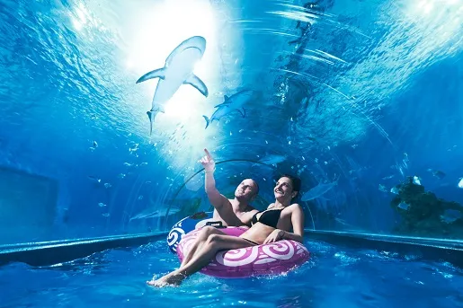 Zdjęcie Oceanarium Reda - Niezapomniane przeżycia z rekinami i atrakcjami