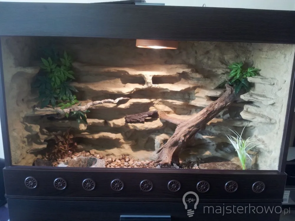 Zdjęcie Idealne terrarium dla gekona lamparciego - kompletne wyposażenie