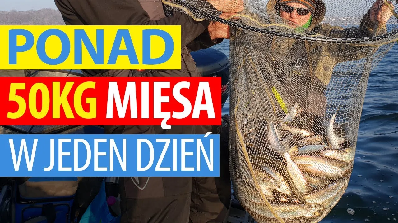 Zdjęcie Kiedy łowić śledzie w Bałtyku? Odkryj najlepsze czasy i miejsca