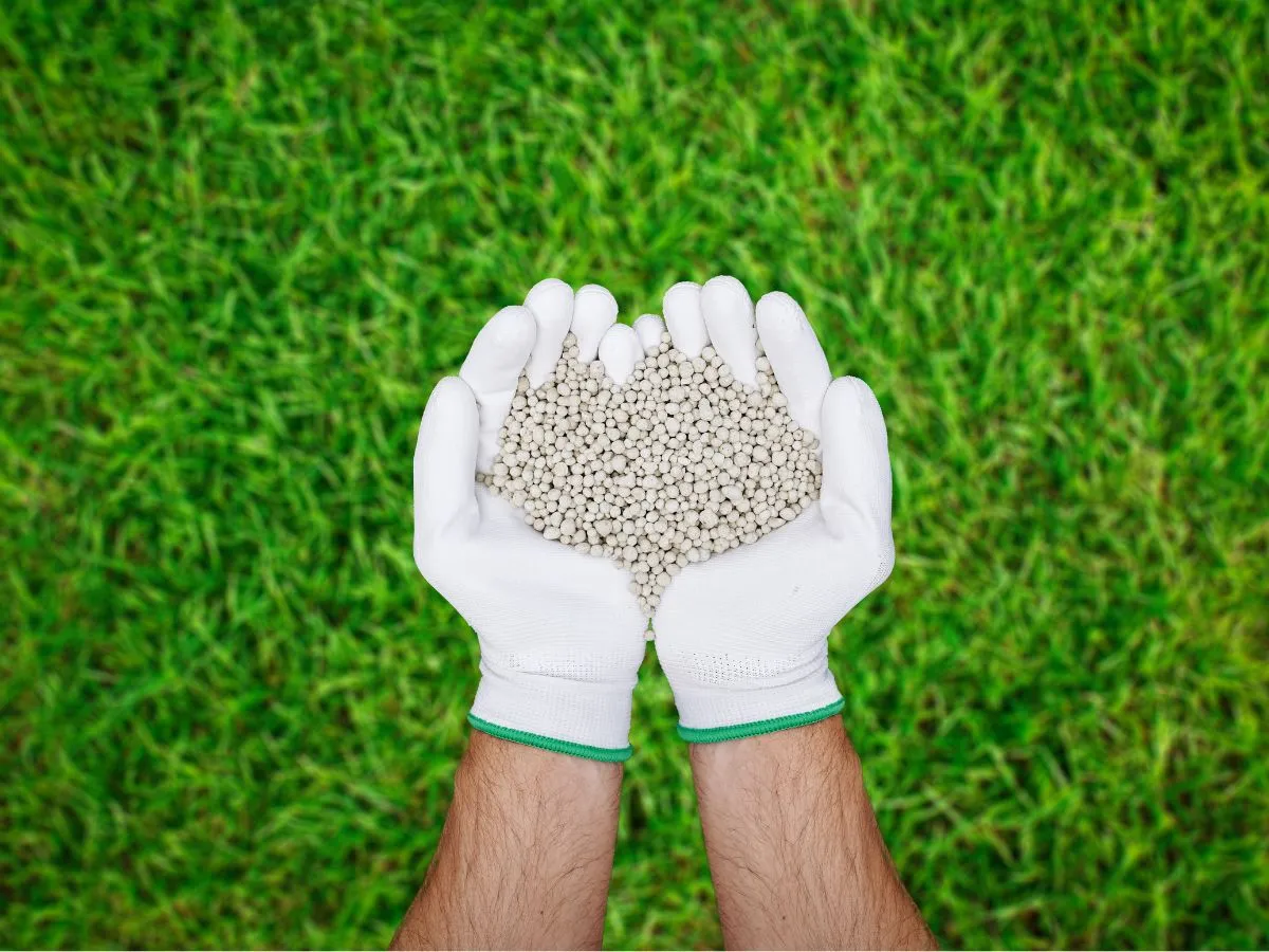 Zdjęcie Czy nawozy mineralne są szkodliwe? Odkryj ukryte zagrożenia zdrowotne