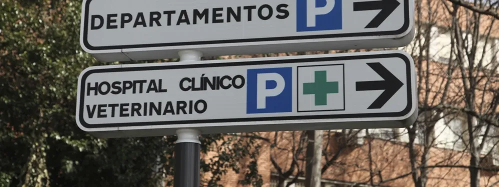 Zdjęcie Facultad de veterinaria UCM: historia, programas y requisitos de admisión