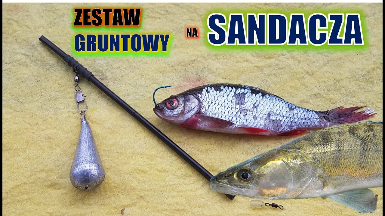 Zdjęcie Jakie haczyki na sandacza z gruntu zapewnią najlepsze wyniki?