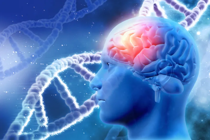 Zdjęcie Co to jest totalna biologia i jak wpływa na zdrowie psychiczne?