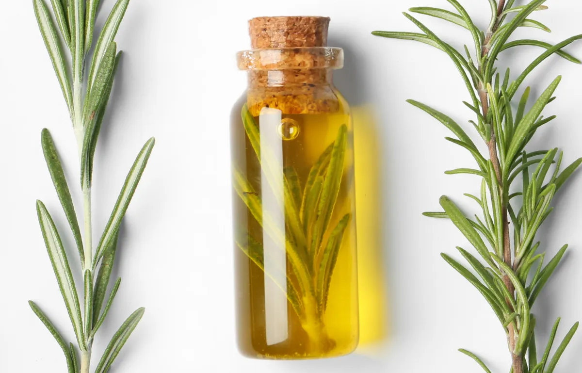 Zdjęcie Jak zrobić olejek laurowo-rozmarynowy – prosty przepis i porady